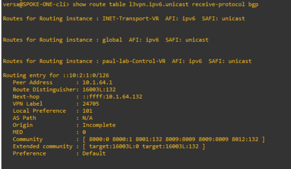 IPV6 Tunneling configuration for Versa Secure SD-WAN - Academy Versa Sns-Brigh10