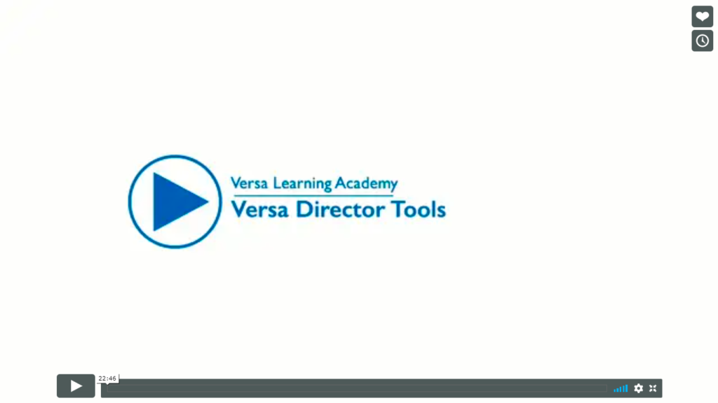 Versa Director Tools