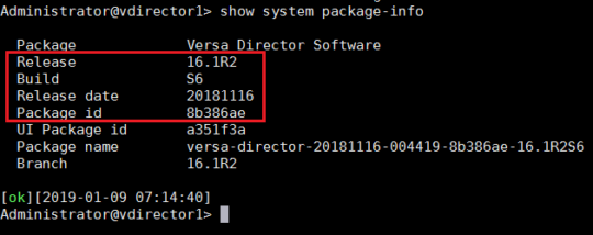 Configuring and Verifying Versa Director High Availability - Academy ...
