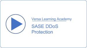 SASE DDoS Protection