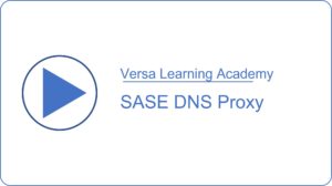 SASE DNS Proxy Demo