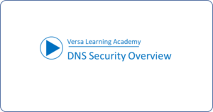 DNS Security Overview