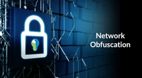 Network Obfuscation – Concerto UI